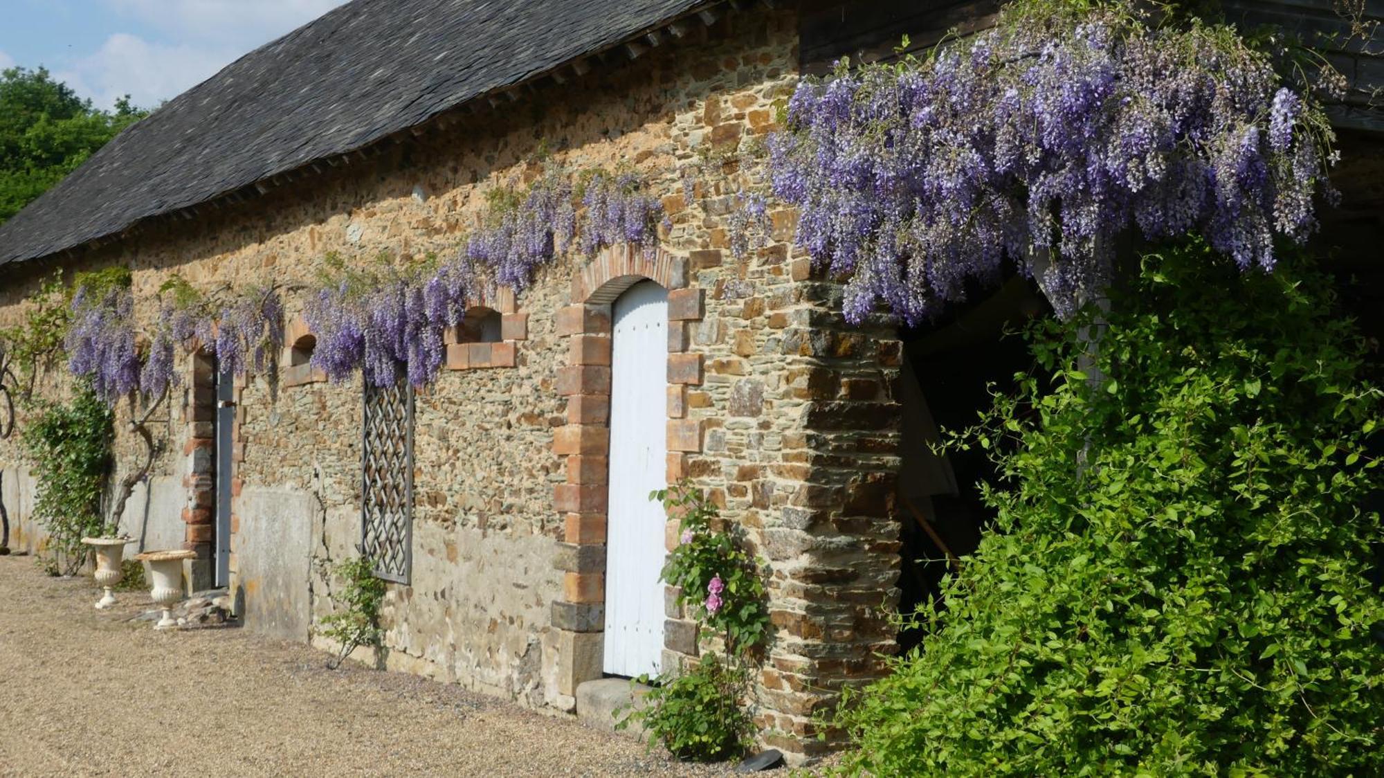 La Petite Lande Bed and Breakfast Ménil Exteriör bild
